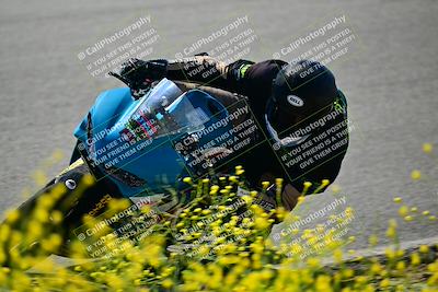 media/May-10-2024-2WTD (Fri) [[c88d7990af]]/Group B/Session 2-The Bowl/